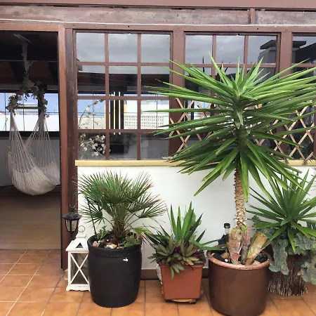 Casa Vivien Apartment